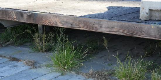 Un dettaglio della vecchia pedana con la presenza di alcune erbacce