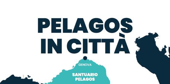 Locandina progetto - cartina di parte dell'Italia con evidenziata, in azzurro, l'area marina protetta del Santuario dei Cetacei