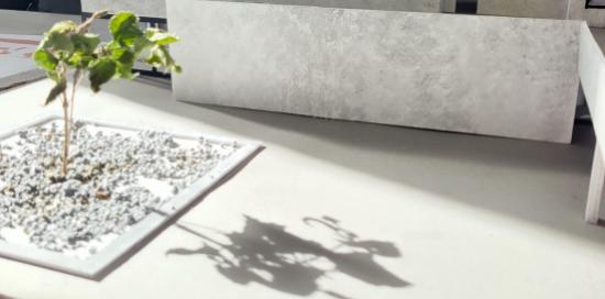 Evento Prisoners in Genoa