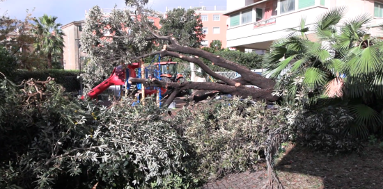 I danni causati dal maltempo a Pegli (via Sabotino) I danni causati dal maltempo a Pegli (via Sabotino)
