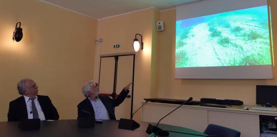 Sealife Care-Rolex Giraglia-Posidonia