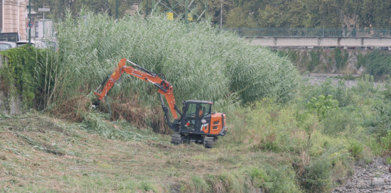 Dettaglio dell'escavatore in azione e impegnato nel taglio di un fitto canneto