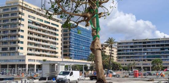 La piantumazione dei primi alberi al parco urbano di piazzale Kennedy