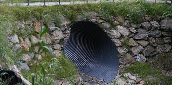 La messa in sicurezza di un affluente del rio Trensasco lungo il percorso dell'Acquedotto Storico