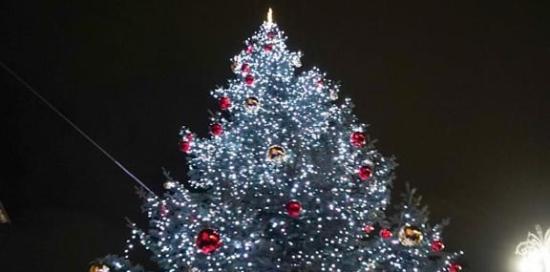 L'albero acceso 2022 L'albero acceso 2022