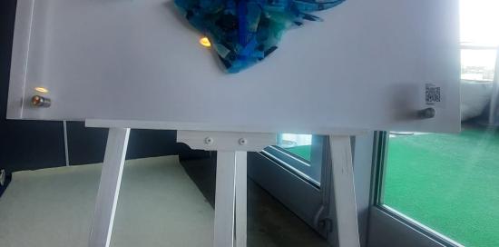 Ocean Gyre, l'opera d'arte di Raul Orvieto per sensibilizzare le persone sui danni causati agli organismi marini dalle plastiche