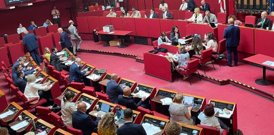 consiglio comunale