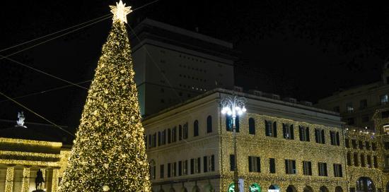 albero illuminato 