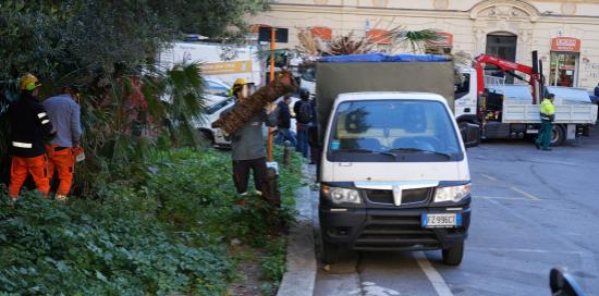 giornata della cura del territorio giornata della cura del territorio