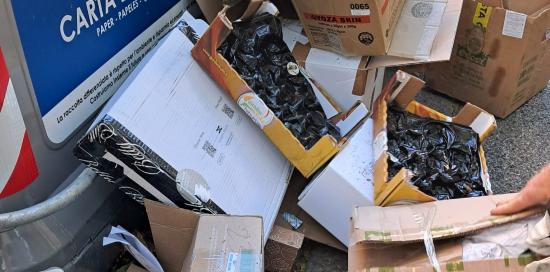 Rifiuti abbandonati ai piedi di un cassonetto della carta Rifiuti abbandonati ai piedi di un cassonetto della carta