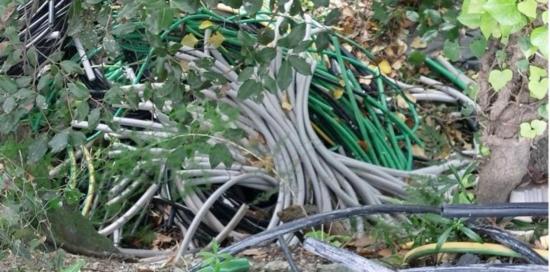 Un mucchio di guaine gialle, nere, grigie e verdi di cavi elettrici abbandonati nella boscaglia