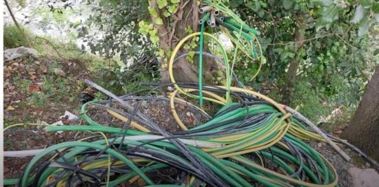 Un mucchio di guaine gialle, nere, grigie e verdi di cavi elettrici abbandonati nella boscaglia