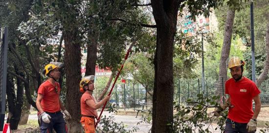 giornata della cura del territorio