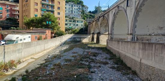 Pulizia rivi