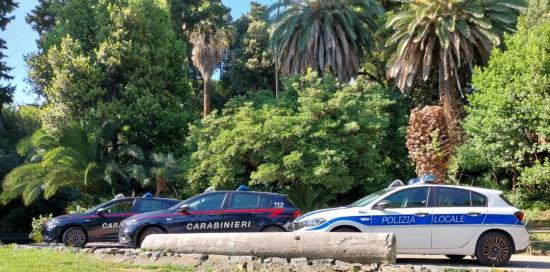 Auto dei Carabinieri e della Polizia Locale parcheggiate in un parco Auto dei Carabinieri e della Polizia Locale parcheggiate in un parco