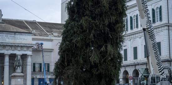 L'albero di Natale innalzato a De Ferrari