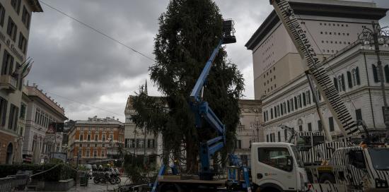 L'albero di Natale innalzato a De Ferrari