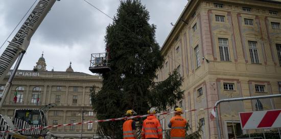 L'albero di Natale innalzato a De Ferrari