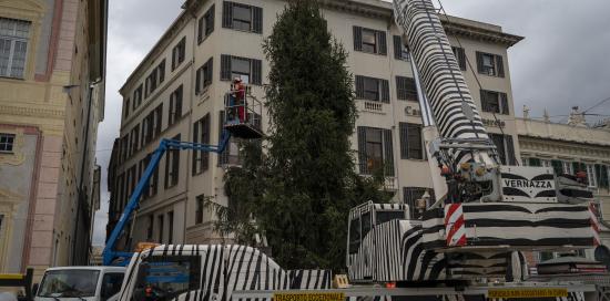 L'albero di Natale innalzato a De Ferrari