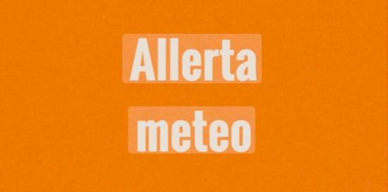 allerta 