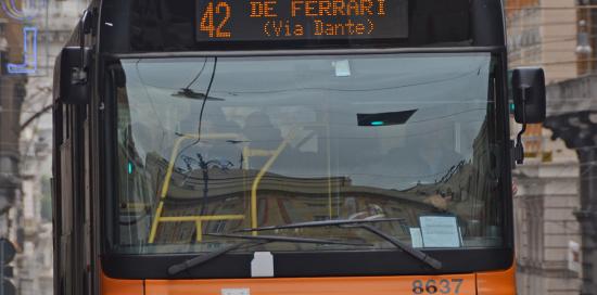 bus
