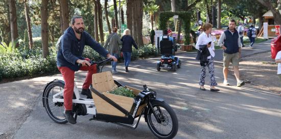 cargo bike