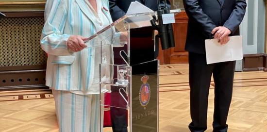 bucci madrid senato