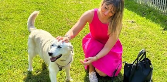 assessore corso accarezza cane bianco