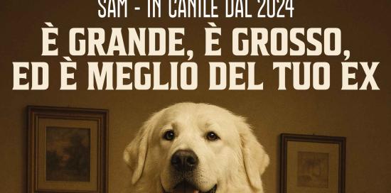 anti abbandono campagna 