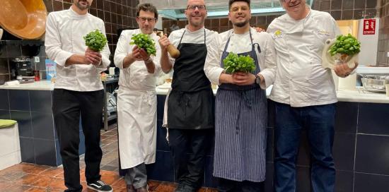 pesto madrid