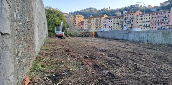L'area appena sgomberata dalla vegetazione spontanea: l'intervento propedeutico all'avvio delle lavorazioni vere e proprie