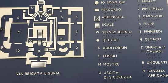 pannello esplicativo tattile particolare