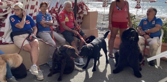 I cani-bagnino di "conosciamo il mare"