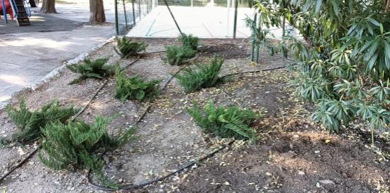 Restyling campetto giardini Cerboncini