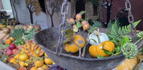 Mostra della Zucca di Murta-Precedenti edizioni
