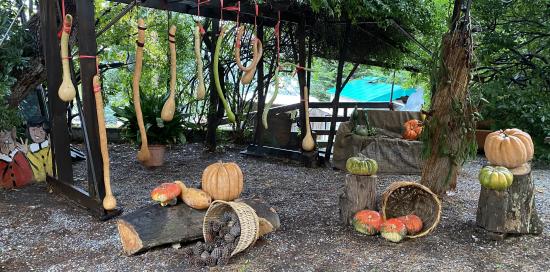 Mostra della Zucca di Murta-Precedenti edizioni