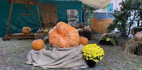 Mostra della Zucca di Murta-Precedenti edizioni