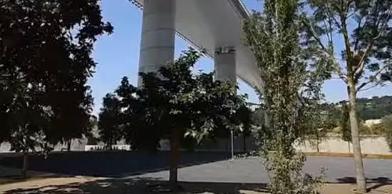 La Radura della Memoria: alberi sotto il ponte Genova San Giorgio