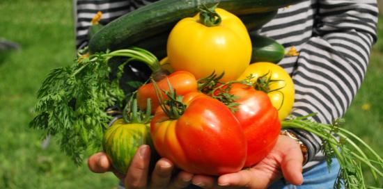 Un bambino con in mano alcuni "frutti" della terra tra cui pomodori e cetrioli