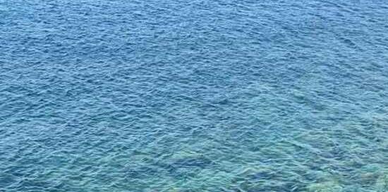 mare