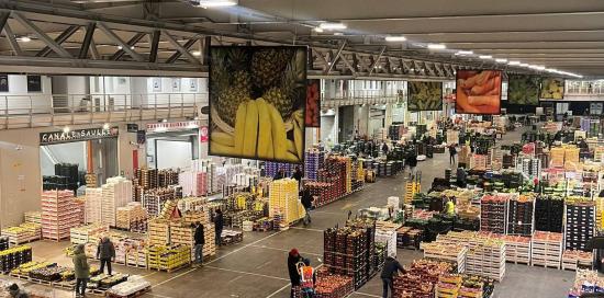 visita Terrile mercato Bolzaneto