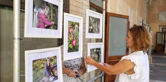 mostra a tursi sul roseto