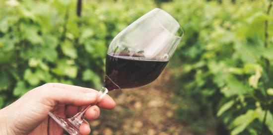 vino