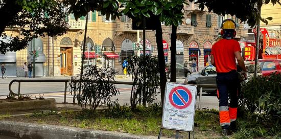 Piazza Giusti - Giardinieri al lavoro nelle aiuole Piazza Giusti - Giardinieri al lavoro nelle aiuole