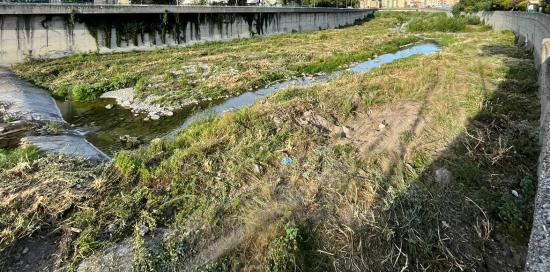 Foto dell&#039;alveo di un rio dove è appena stata tagliata la vegetazione e si torna a vedere l&#039;acqua corrente