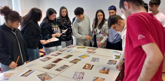 Ricibo lezione