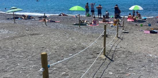 spiaggia per cani 