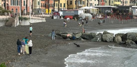 La spiaggia di Pegli durante la pulizia