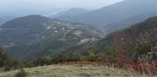 vallate