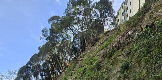 Una porzione della scarpata di via Terpi dopo un taglio della vegetazione (foto di repertorio)